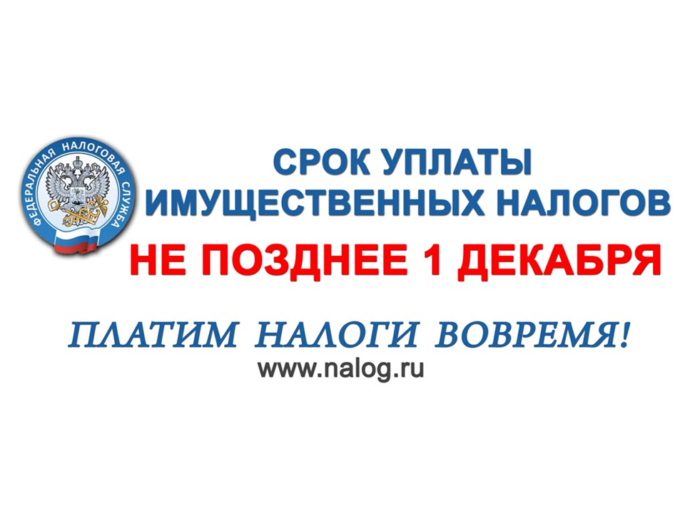 Официальный сайт, Администрация Калниболотского сельского поселения Новопокровск